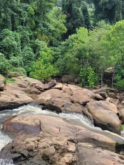Pelham Mill Park - Greenville, SC