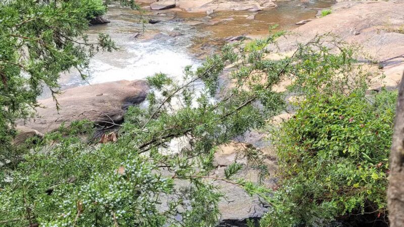 Pelham Mill Park - Greenville, SC