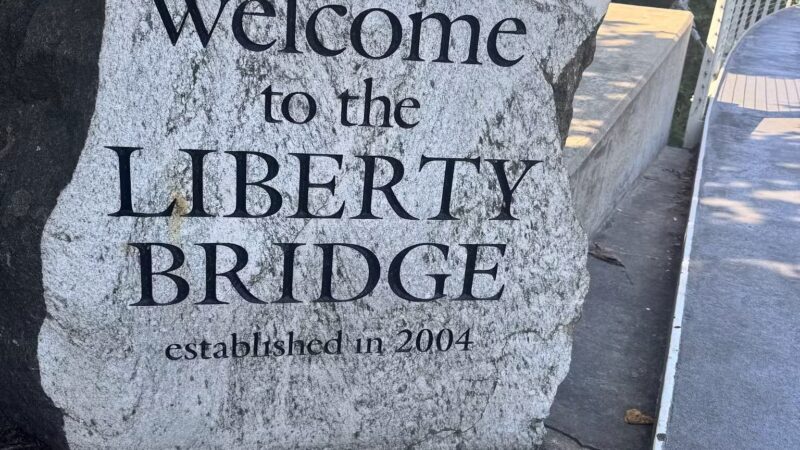 Reedy River Falls - Greenville, SC