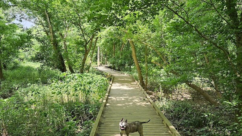 Cleveland Park - Greenville, SC