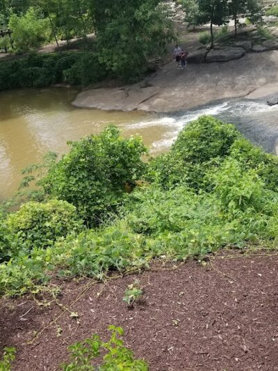 Cancer Survivors Park - Greenville, SC