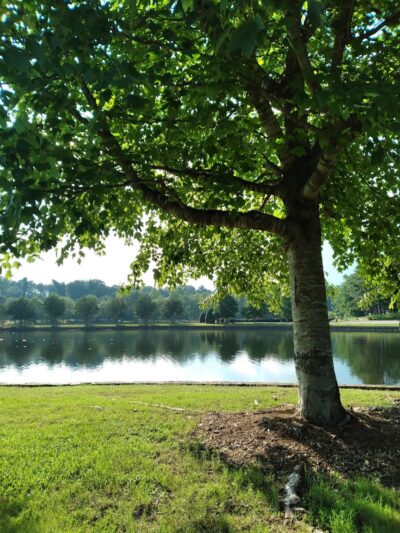 Centennial Park - Greenville, SC