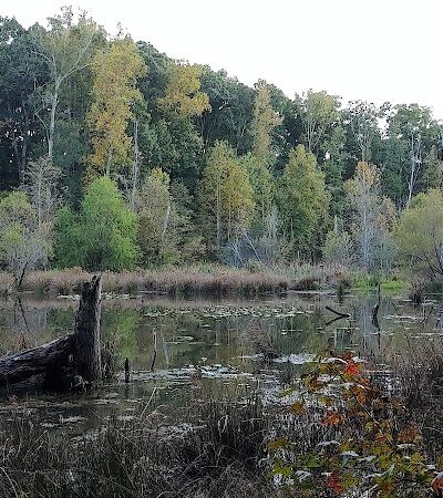 Conestee Park - Greenville, SC