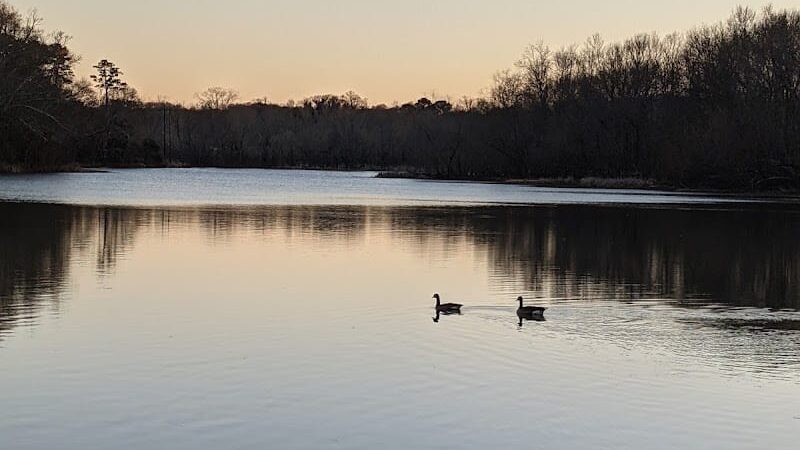 Conestee Park - Greenville, SC