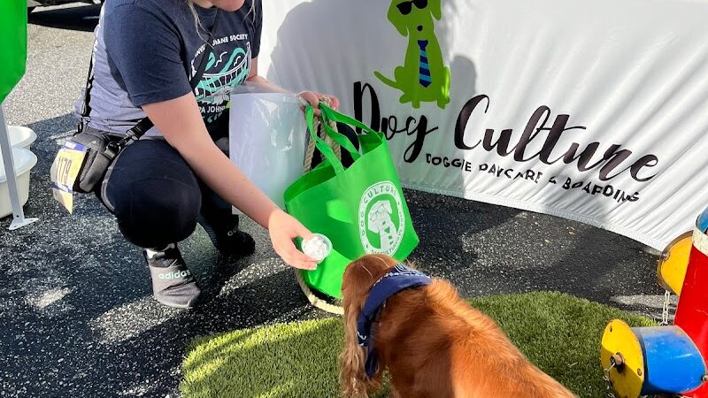 Dog Culture - Greenville, SC