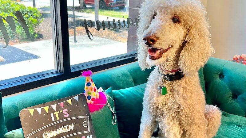Dog Culture - Greenville, SC