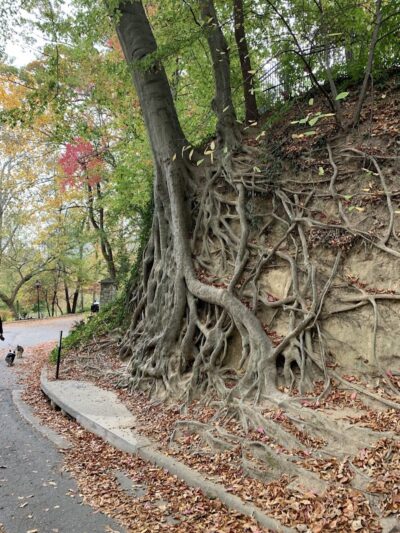 Downtown Greenville Sc - Greenville, SC