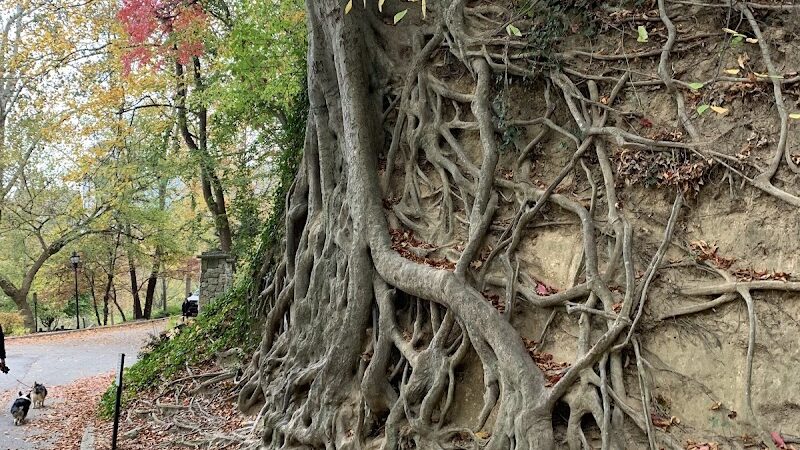 Downtown Greenville Sc - Greenville, SC