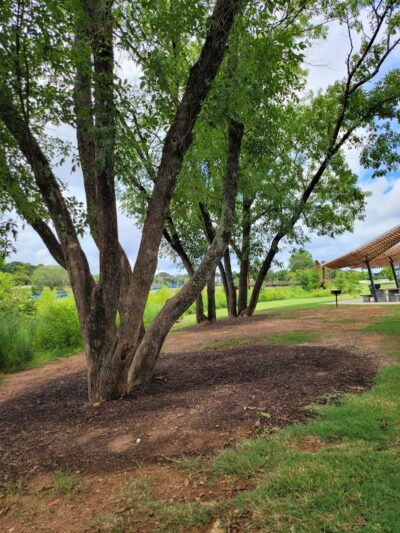 Greenville Water Splash Pad - Greenville, SC
