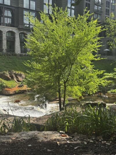 Greenville Water Splash Pad - Greenville, SC
