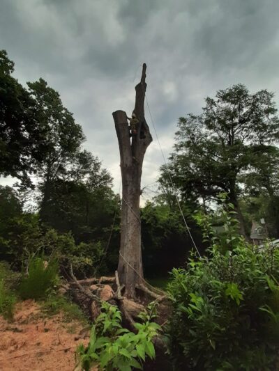 Henry Bacon McKoy Park - Greenville, SC