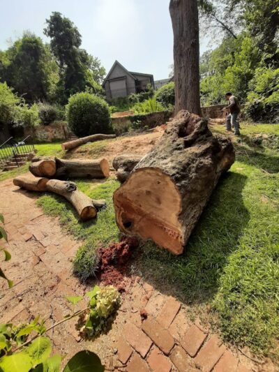 Henry Bacon McKoy Park - Greenville, SC