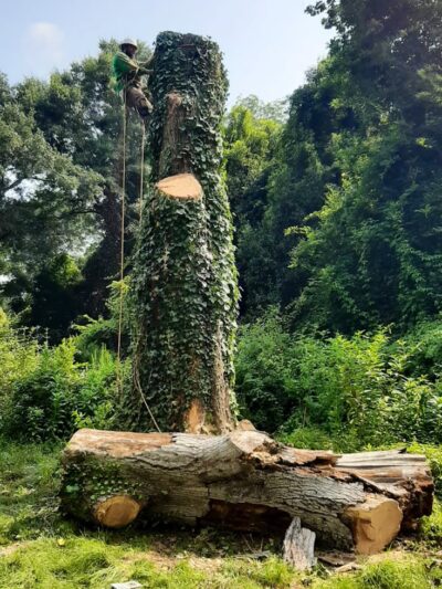 Henry Bacon McKoy Park - Greenville, SC