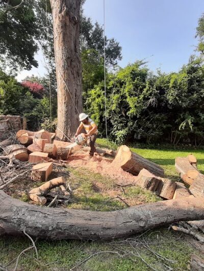 Henry Bacon McKoy Park - Greenville, SC