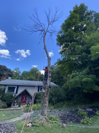 Henry Bacon McKoy Park - Greenville, SC
