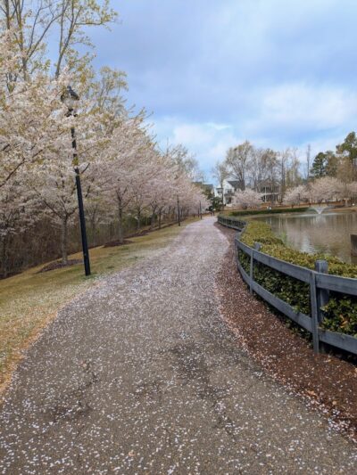 Legacy Park - Greenville, SC