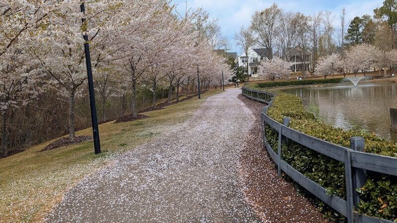 Legacy Park - Greenville, SC