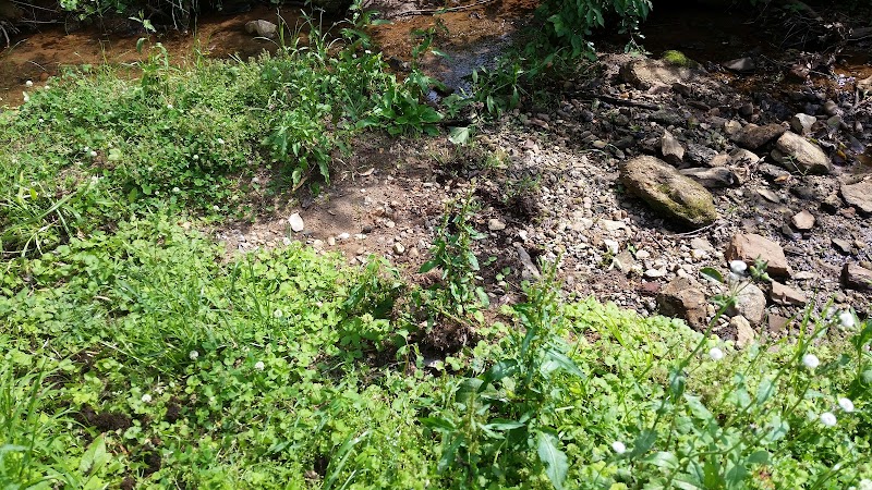 North Main Rotary Park - Greenville, SC