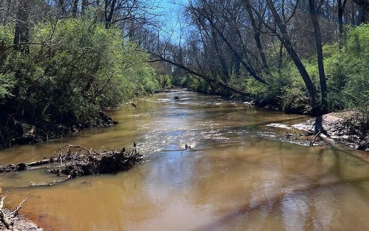 Pelham Mill Park - Greenville, SC