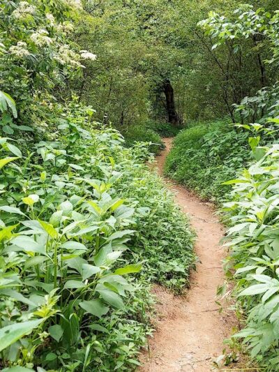 Pelham Mill Park - Greenville, SC