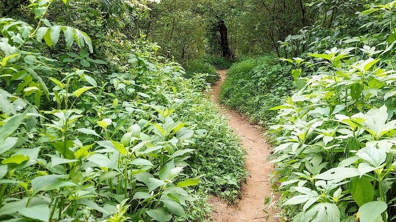 Pelham Mill Park - Greenville, SC