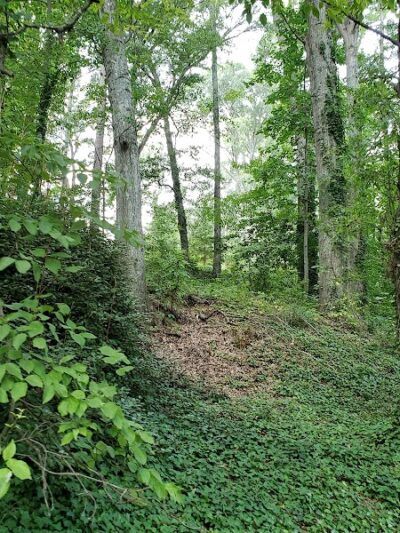 Swamp Rabbit trail - Greenville, SC