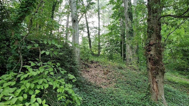 Swamp Rabbit trail - Greenville, SC