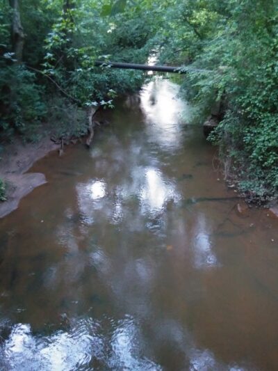 Verner Springs Park - Greenville, SC