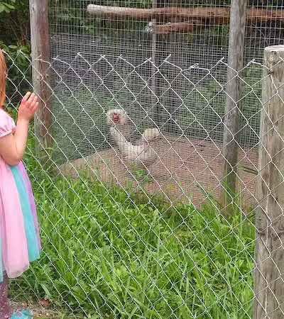 Greenville Community Park - Greenville, WI