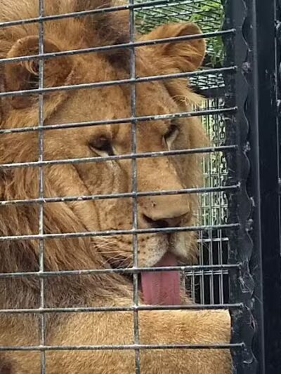 Greenville Community Park - Greenville, WI