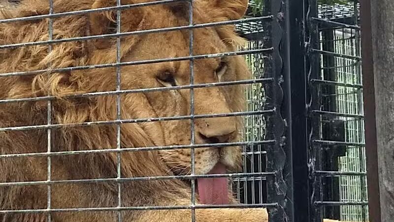 Greenville Community Park - Greenville, WI