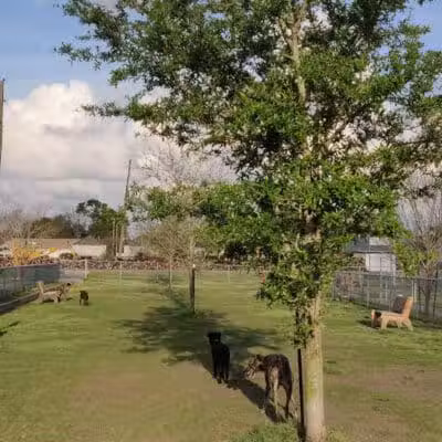 Gretna Dog Park - Gretna, LA