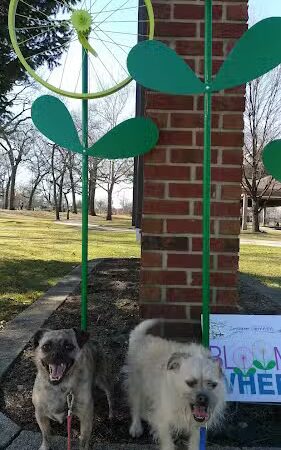 Central Park - Griffith, IN