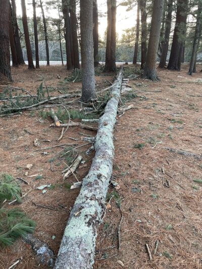 Groton Conservation Trust -- Lawrence Woods & Scenic Trails - Groton, MA