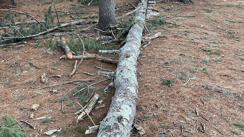 Groton Conservation Trust -- Lawrence Woods & Scenic Trails - Groton, MA