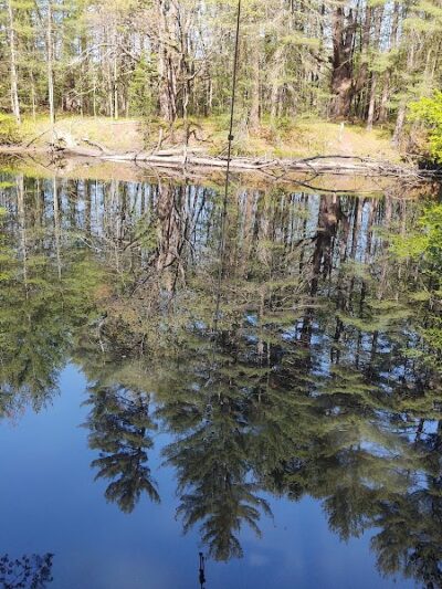 Groton Conservation Trust -- Lawrence Woods & Scenic Trails - Groton, MA