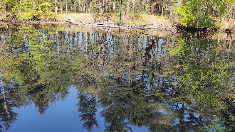 Groton Conservation Trust -- Lawrence Woods & Scenic Trails - Groton, MA
