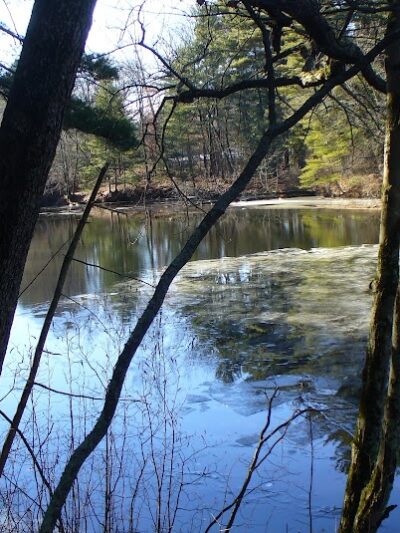 Groton Conservation Trust -- Lawrence Woods & Scenic Trails - Groton, MA