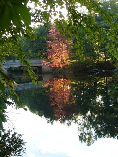 Groton Conservation Trust -- Lawrence Woods & Scenic Trails - Groton, MA