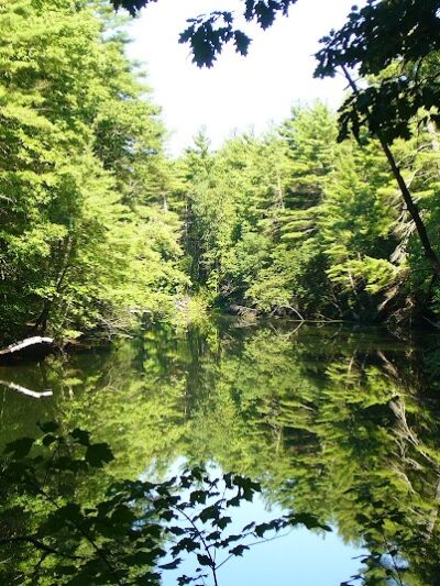 Groton Conservation Trust -- Lawrence Woods & Scenic Trails - Groton, MA