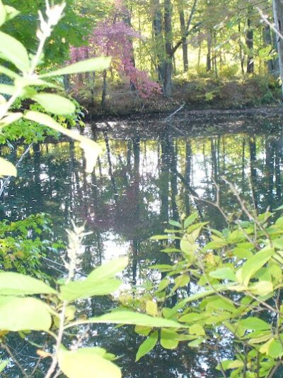 Groton Conservation Trust -- Lawrence Woods & Scenic Trails - Groton, MA