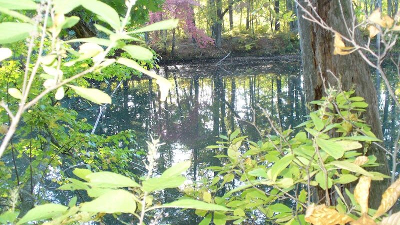 Groton Conservation Trust -- Lawrence Woods & Scenic Trails - Groton, MA