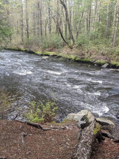 Groton Town Forest - Groton, MA