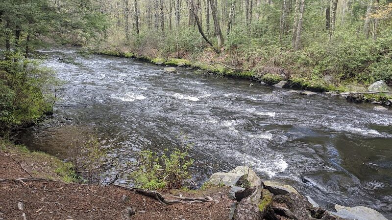 Groton Town Forest - Groton, MA