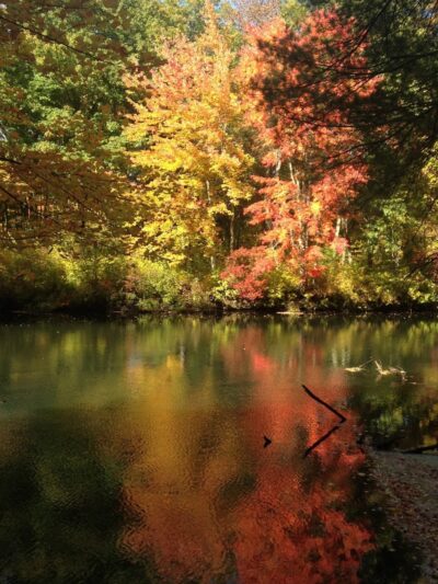 Groton Town Forest - Groton, MA