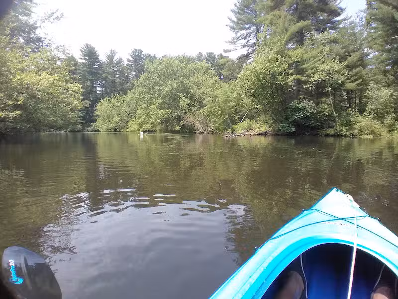 Groton Town Forest - Groton, MA
