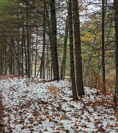 John Tinker Accessible Trail - Groton, MA
