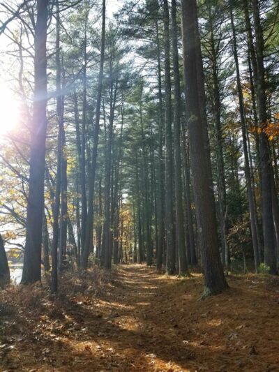 John Tinker Accessible Trail - Groton, MA