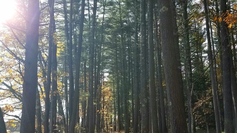 John Tinker Accessible Trail - Groton, MA