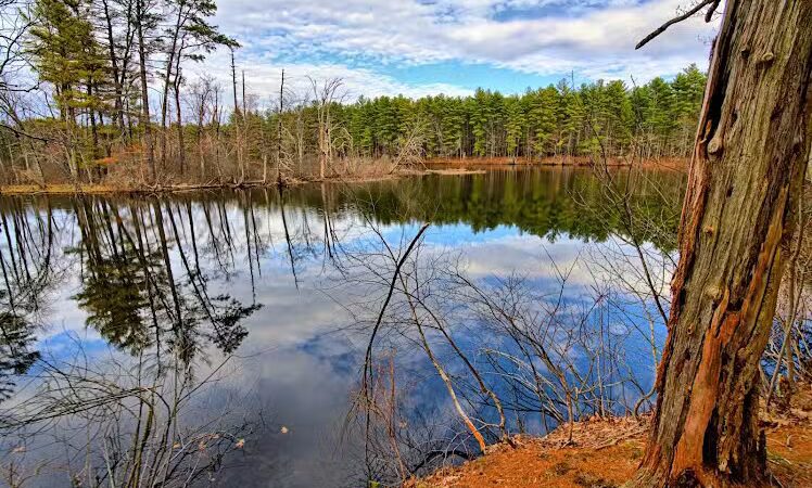 John Tinker Accessible Trail - Groton, MA